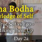 Atma Bodha - Adi Shankara Lessons