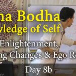 8B - Atma Bodha (Self-Knowledge): Upon Enlightenment, Nothing Changes & Ego Remains atma bodha text