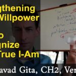 bhagavad gita lessons