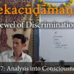 viveka choodamani, vivekachudamani, vivekacudamani
