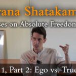 nirvana shatakam, nirvana satakam teaching