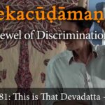 viveka choodamani, vivekachudamani, vivekacudamani